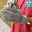Vogelrettungsaktion der Feuerwehr Niederburg