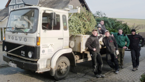 SVN-Weihnachtsbaum