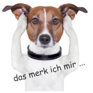 Hund-kann-nix-dafuer