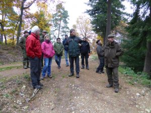 Waldbegang2015 3