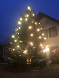 WeihnachtsbaumFFw2017