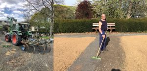 Arbeiten Friedhof