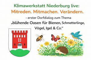 Klimawerkstatt live